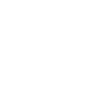 App Lionking